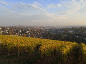 Immobilienbewertung