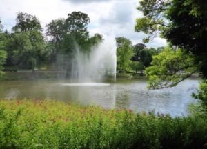 Gutachter sucht Immobilien 
Wiesbaden