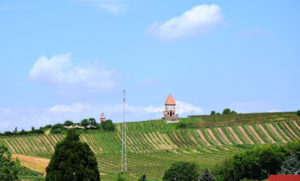 Immobilienbewertung in Rheinhessen