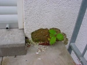 Wertgutachten für Immobilienkauf