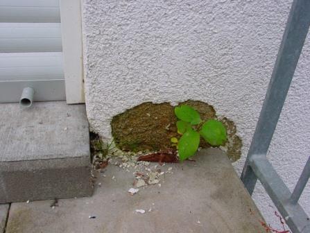 Wohnungsübergabe