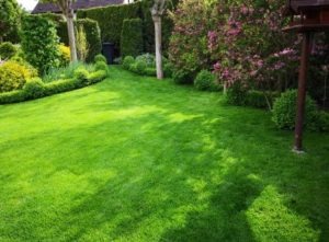 FAQ Tipps rund um Haus und Garten