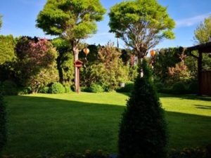 Garten im Juni