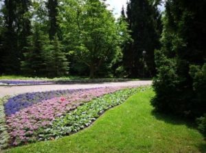 Blumenbeet
