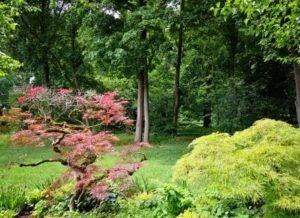 Immobilienbewertung Bad Homburg