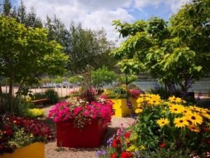 Gartenarbeit, Baum im Garten