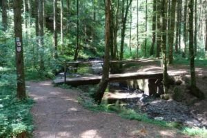 Masdacher Burgherrenweg