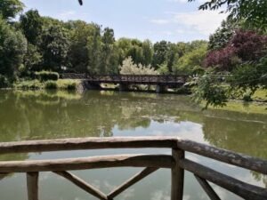 Großer Teich Bad Nauheim