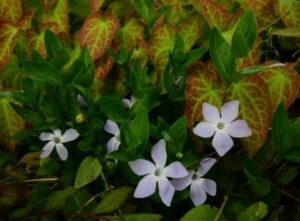 Naturmotive-im-Mai
