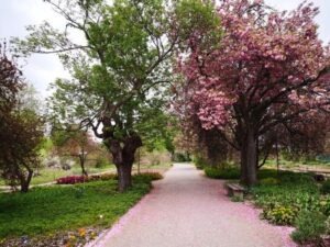Botanischer-Garten-Mz