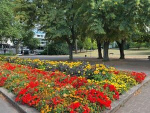 Gutachter Kaufpreisermittlung Haus - Wertgutachten Hausverkauf Mainz