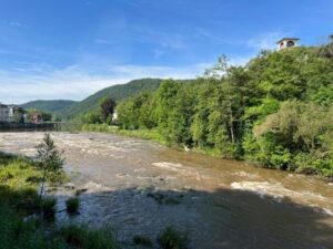Immobiliengutachter und Immobiliensachverständige Rhein-Main-Nahe